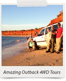 shark bay 4wd tours